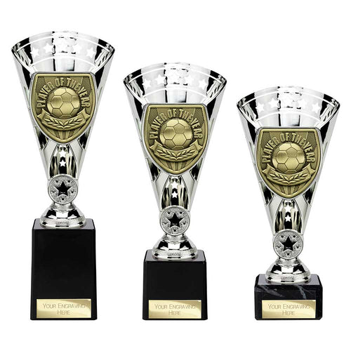 Cobra Star Cup Player of Year