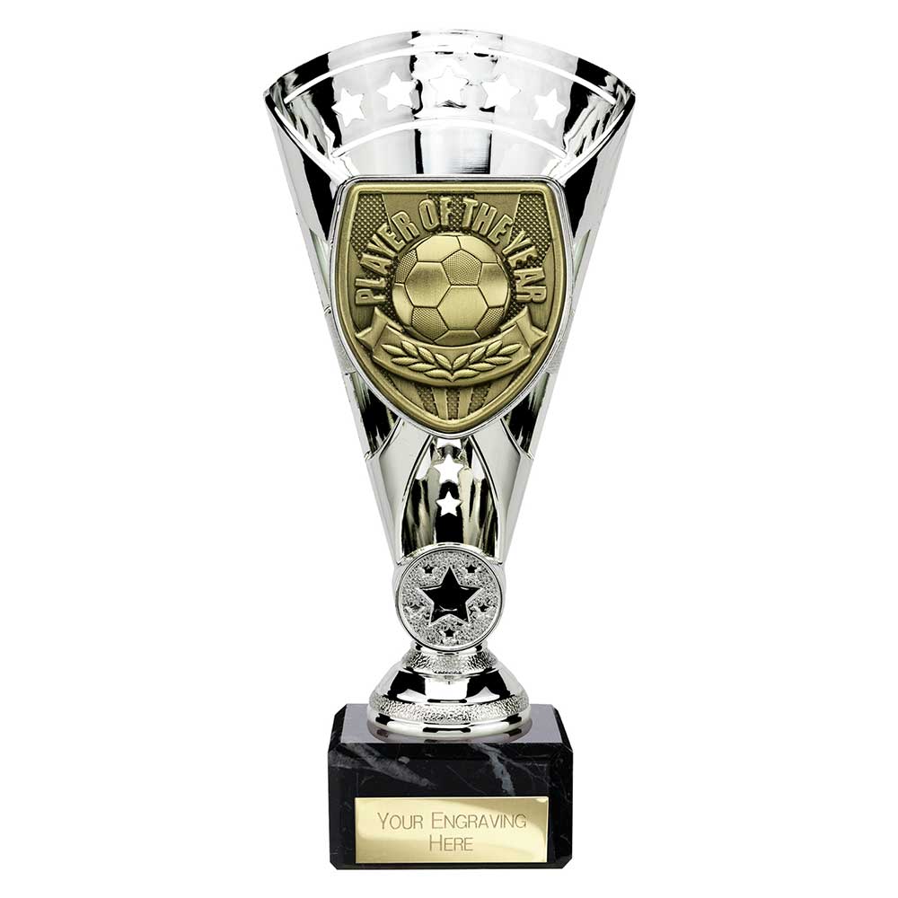 Cobra Star Cup Player of Year - 210mm