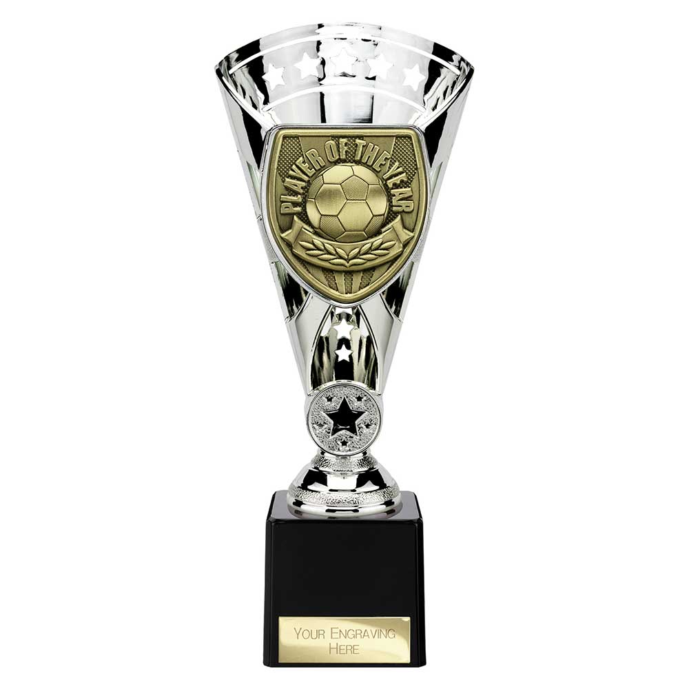 Cobra Star Cup Player of Year - 230mm