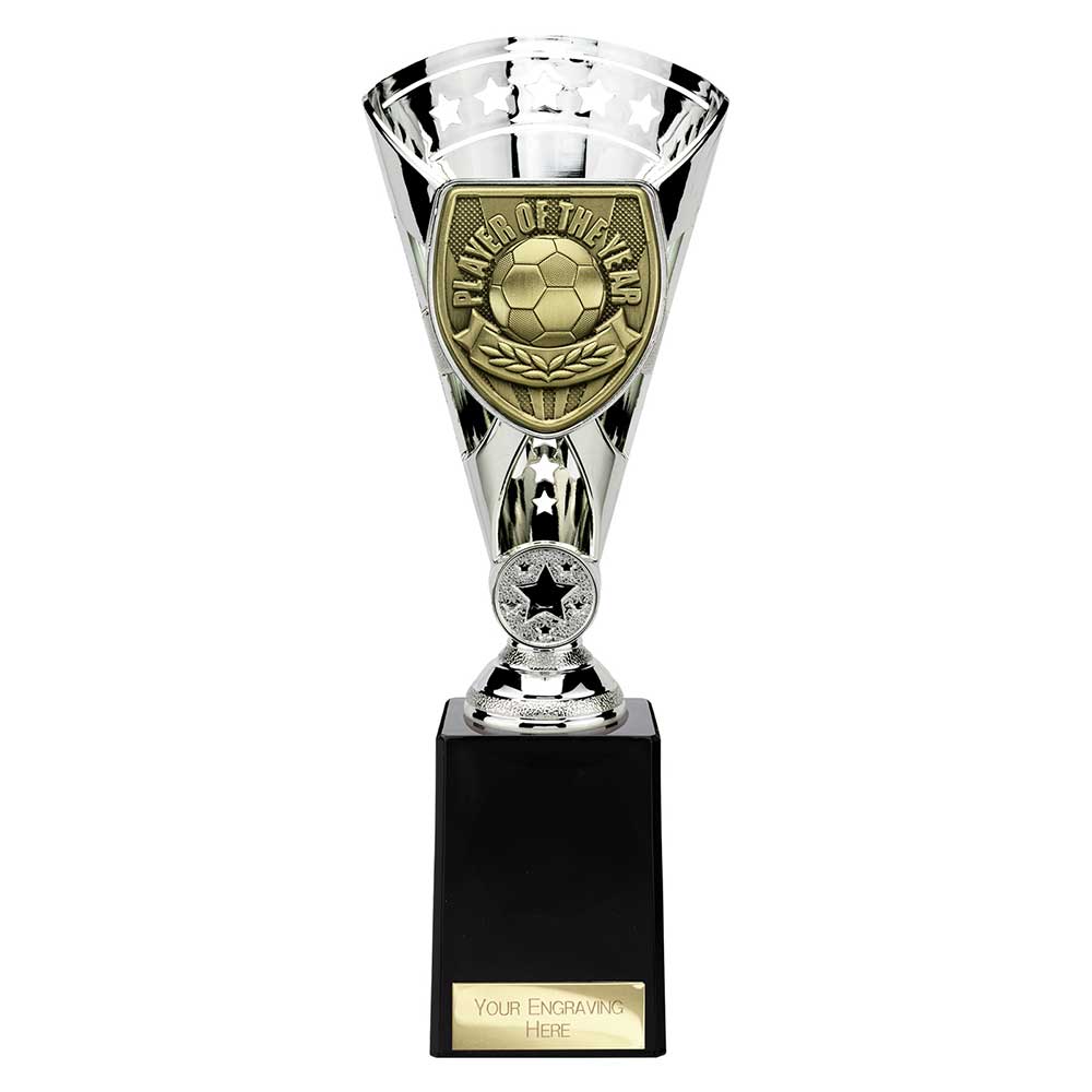 Cobra Star Cup Player of Year - 255mm