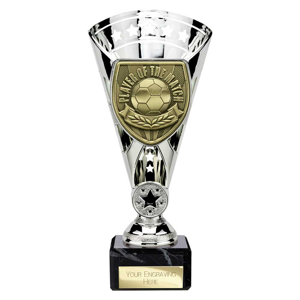 Cobra Star Cup Player of Match - 210mm