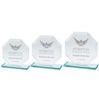 Oblivion Jade Glass Award - CR16133