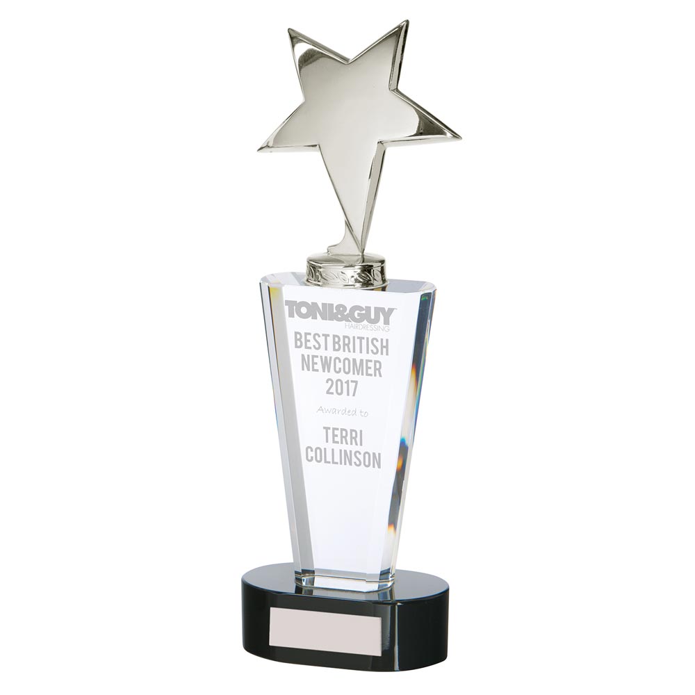 Chicago Crystal & Chrome Award -CR17106