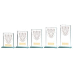 Millennium Motorsport Jade Glass Award - CR20385