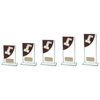 Colour Curve Dominoes Jade Glass Award  - CR4623