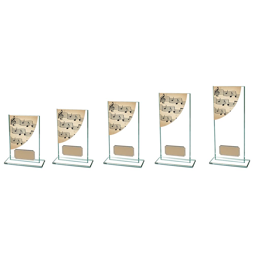 Colour Curve Music Jade Glass Award - CR4763