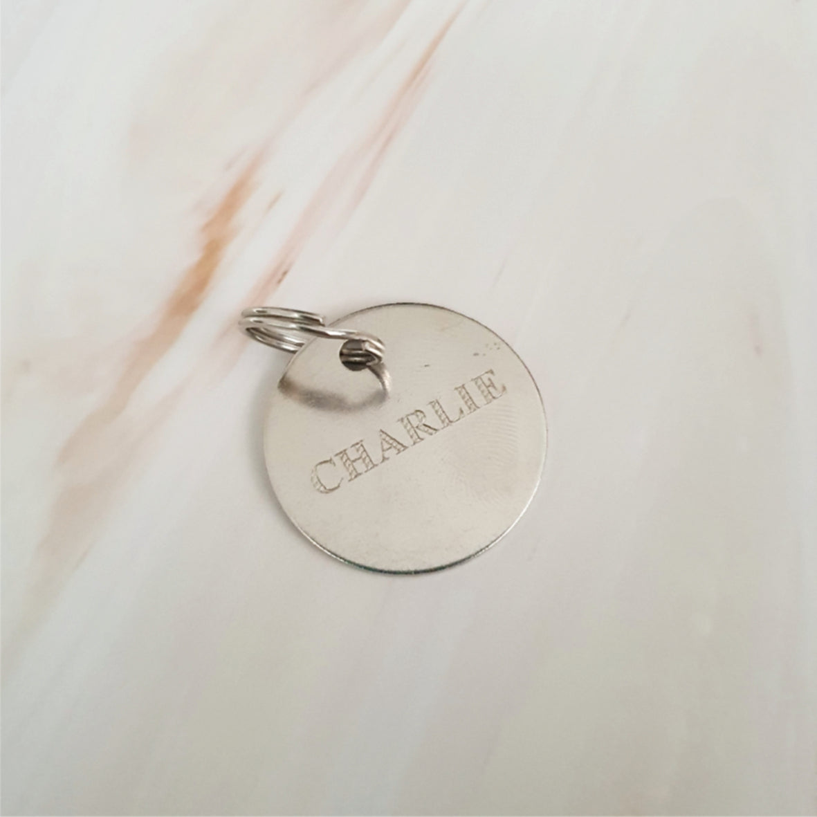 25mm Nickel Plated Pet Tag