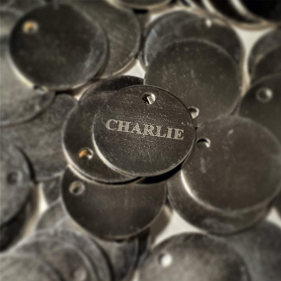 25mm Nickel Plated Pet Tag