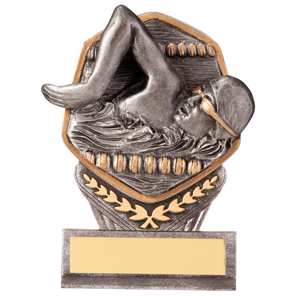 Falcon Swimming Male Award -PA20080