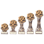Falcon School Spelling Award-PA22077