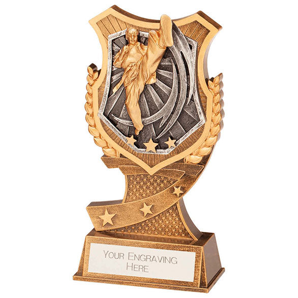 Titan Karate Award - PA22079