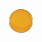Scholar Pin Badge Round-SB16124
