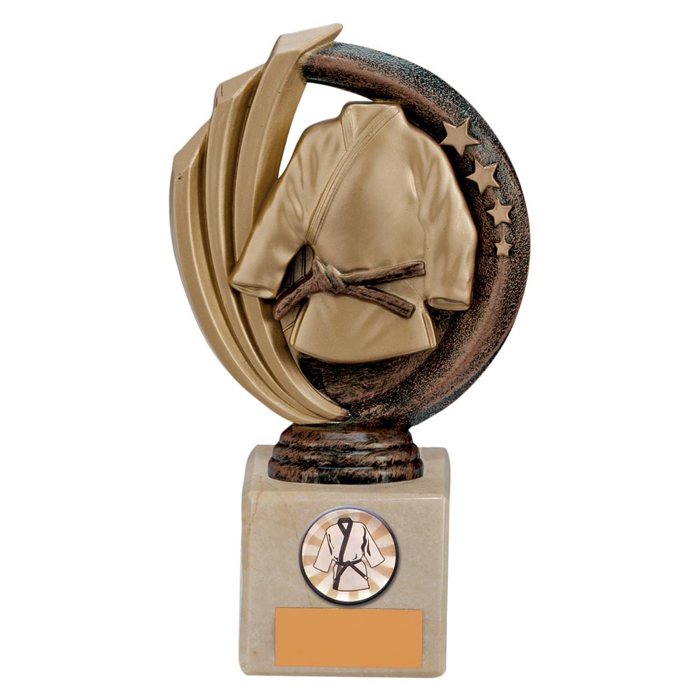 Renegade MartialArts Legend Award Antique Bronze & Gold - TH17259