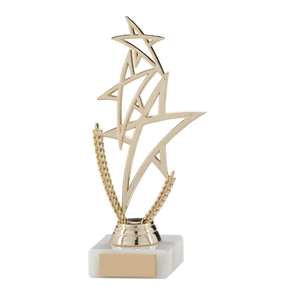 Rising Star Multi-Sport Gold Trophy -TR17545