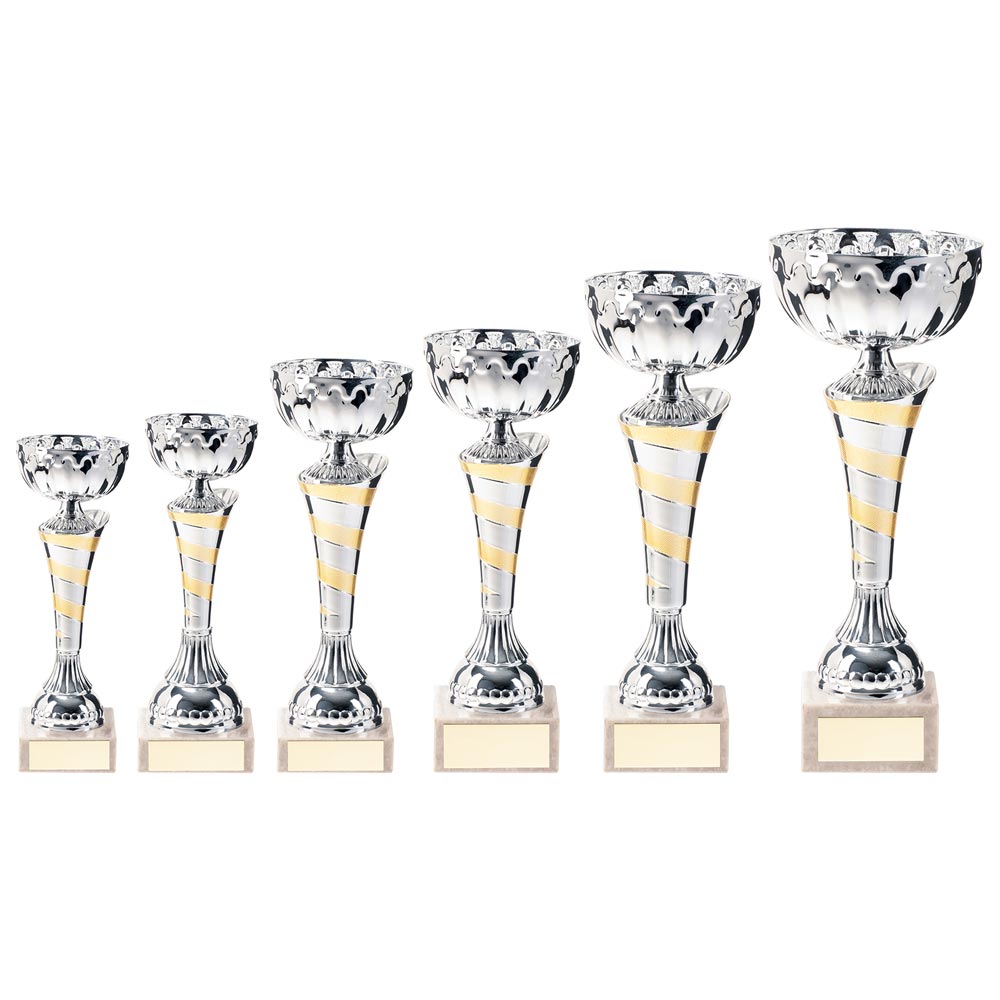 Eternity Cup Silver & Gold-TR20312